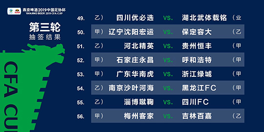 新澳2024年精准资料期期,敏捷解答解释落实_专属版69.93.65