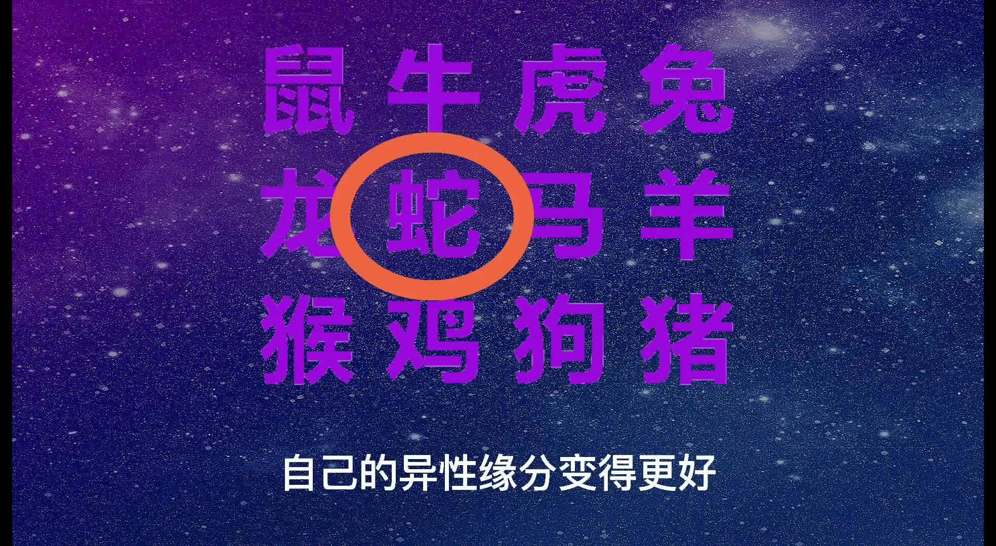 2024新澳门今天晚上开什么生肖,结实解答解释落实_论坛版8.73.20