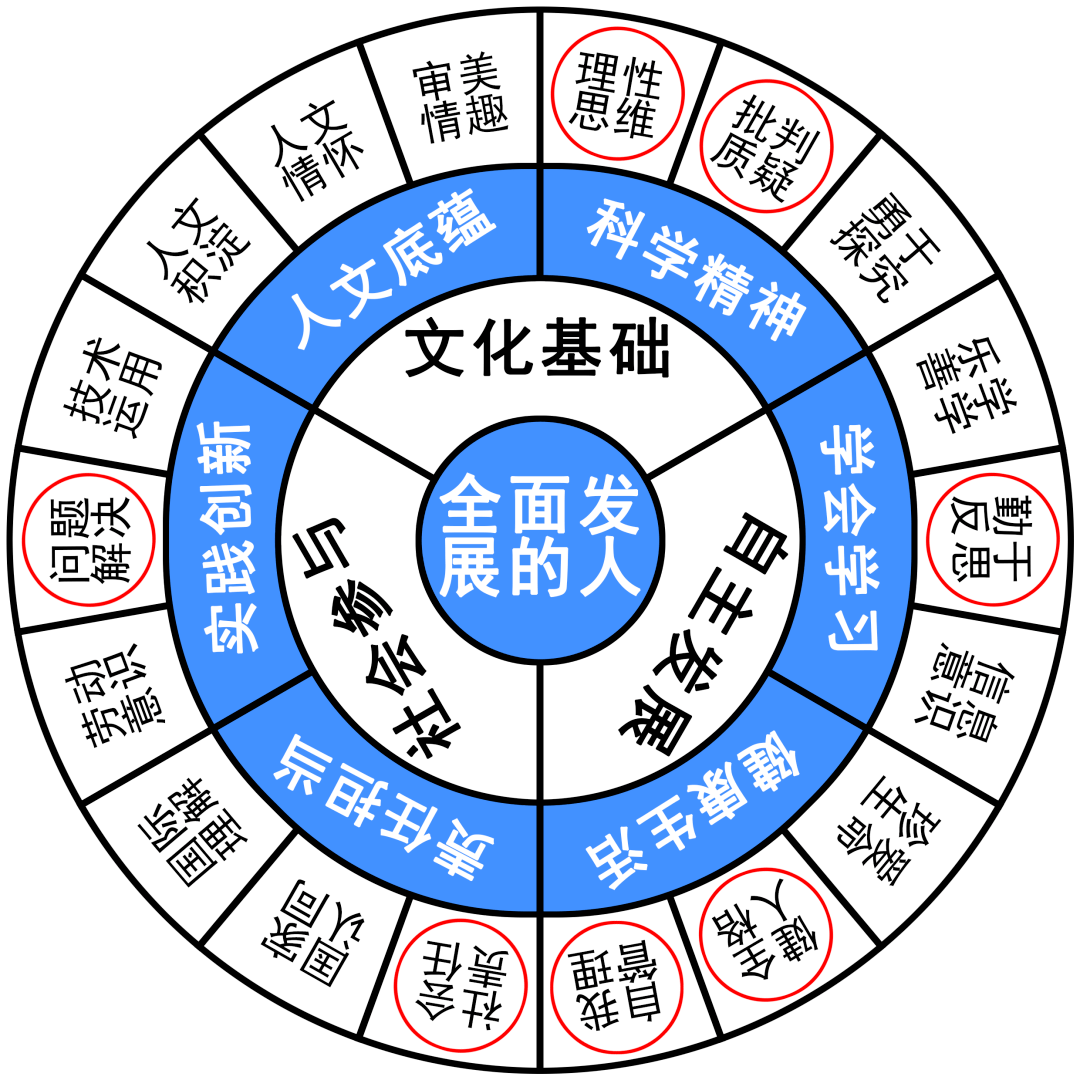 今晚9点30开什么生肖,主动解答解释落实_历史版1.42.83